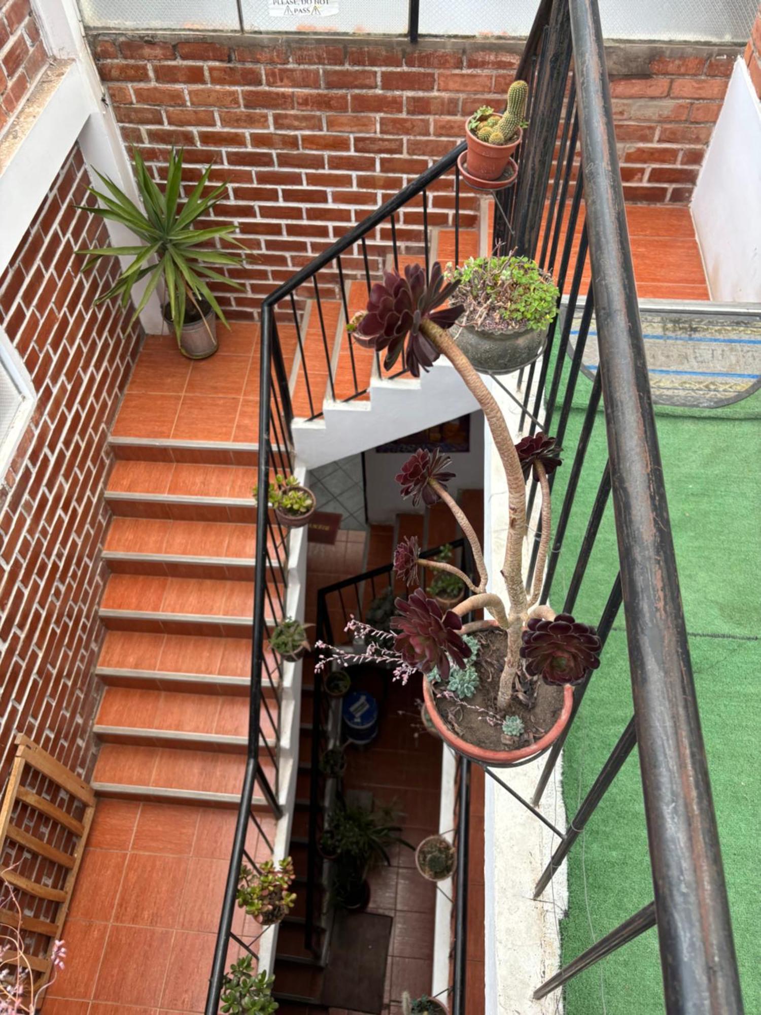 Terrace View House In Big Kitchen, Lounge And Private Yard Сasa de vacaciones